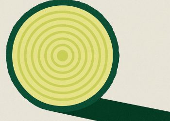 2025 Loyalty Report: Relationship Capital Drives 306% Higher LTV