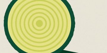 2025 Loyalty Report: Relationship Capital Drives 306% Higher LTV