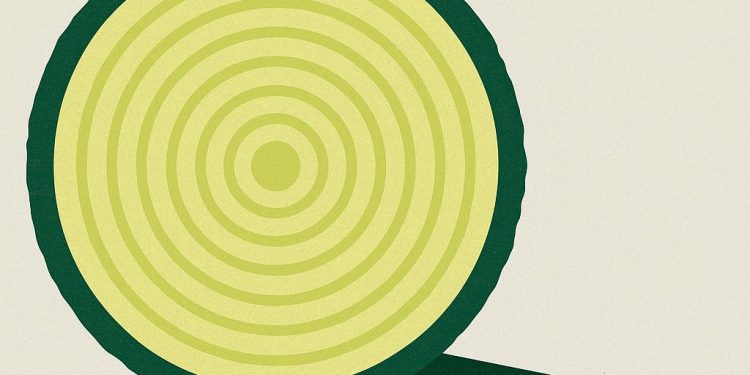 2025 Loyalty Report: Relationship Capital Drives 306% Higher LTV