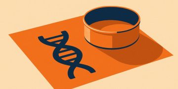 McKinsey: AI Boosts Dev Productivity 45% with Two Shifts