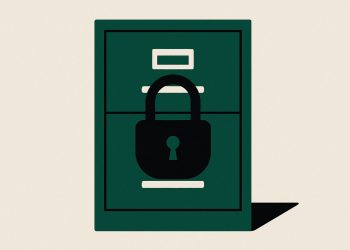 Firms secure AI data with new accounting safeguards